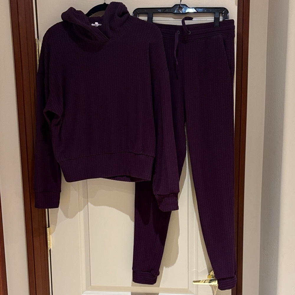 Splendid Knit  Hoodie and Jogger Set